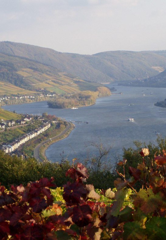 Rhein und Weinberge im Herbst | &copy; Ingrid Kachel