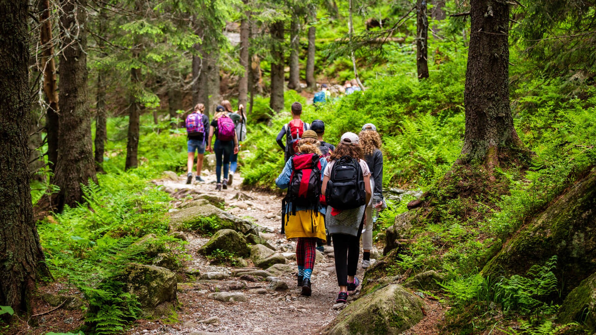 Wandern | © ©Adobe Wandern | © ©Adobe