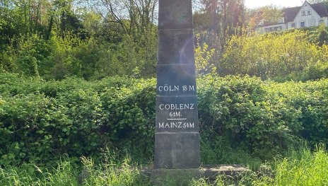 Meilenstein | &copy; RNT