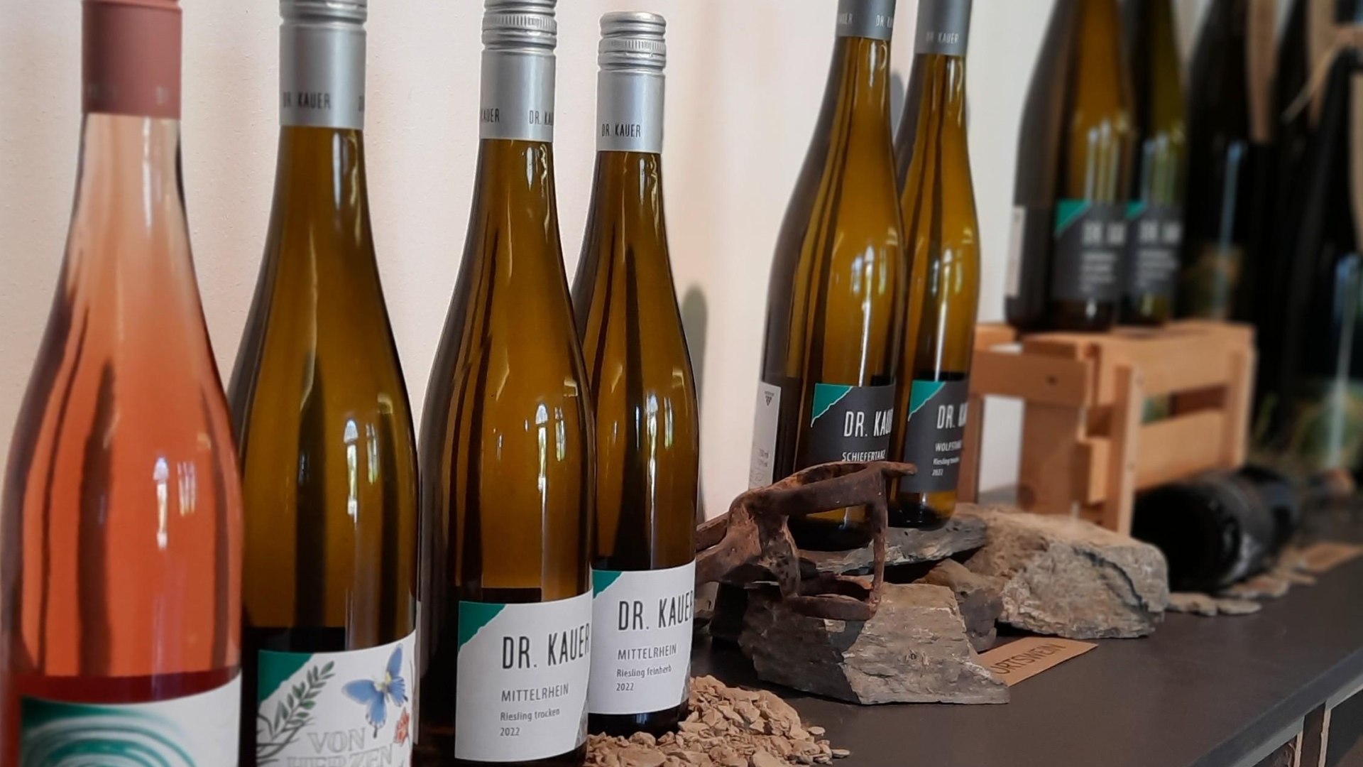 Weingut Dr. Kauer | © Dr. Kauer Weingut Dr. Kauer | © Dr. Kauer