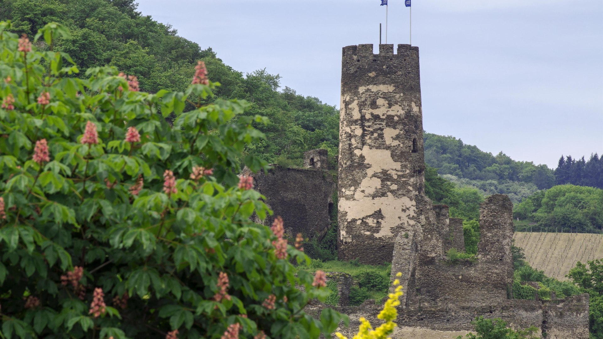 Fürstenberg im Frühjahr | © Friedrich Gier Fürstenberg im Frühjahr | © Friedrich Gier