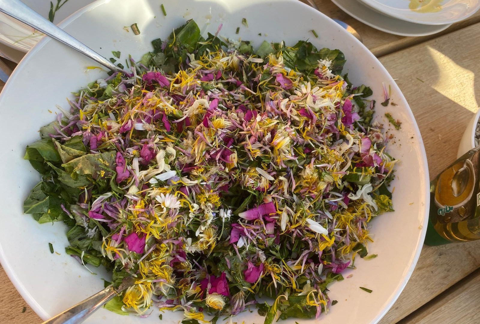 Wurzel | © Angelika Hölz Wurzel | © Angelika Hölz