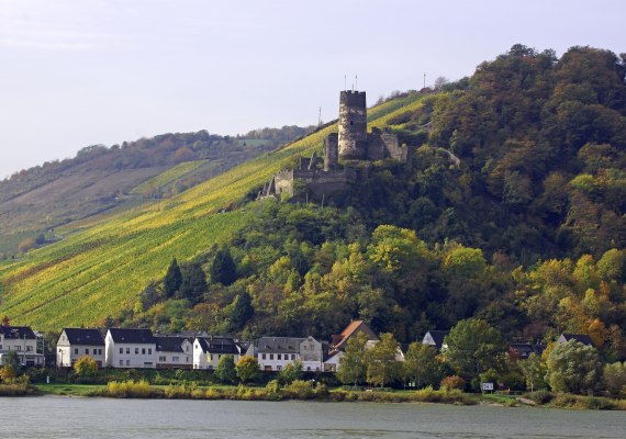 Ruine F&uuml;rstenberg | &copy; Friedrich Gier