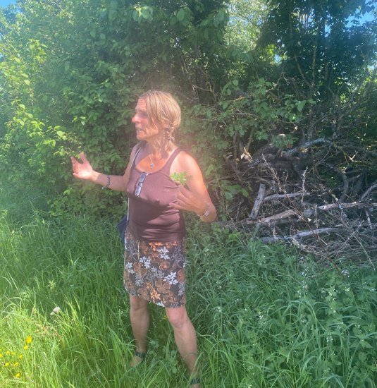 Wanderung | © Angelika Hölz Wanderung | © Angelika Hölz