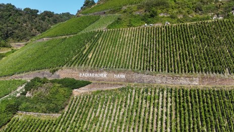 Bacharacher Hahn | © RNT, Simone Bohr