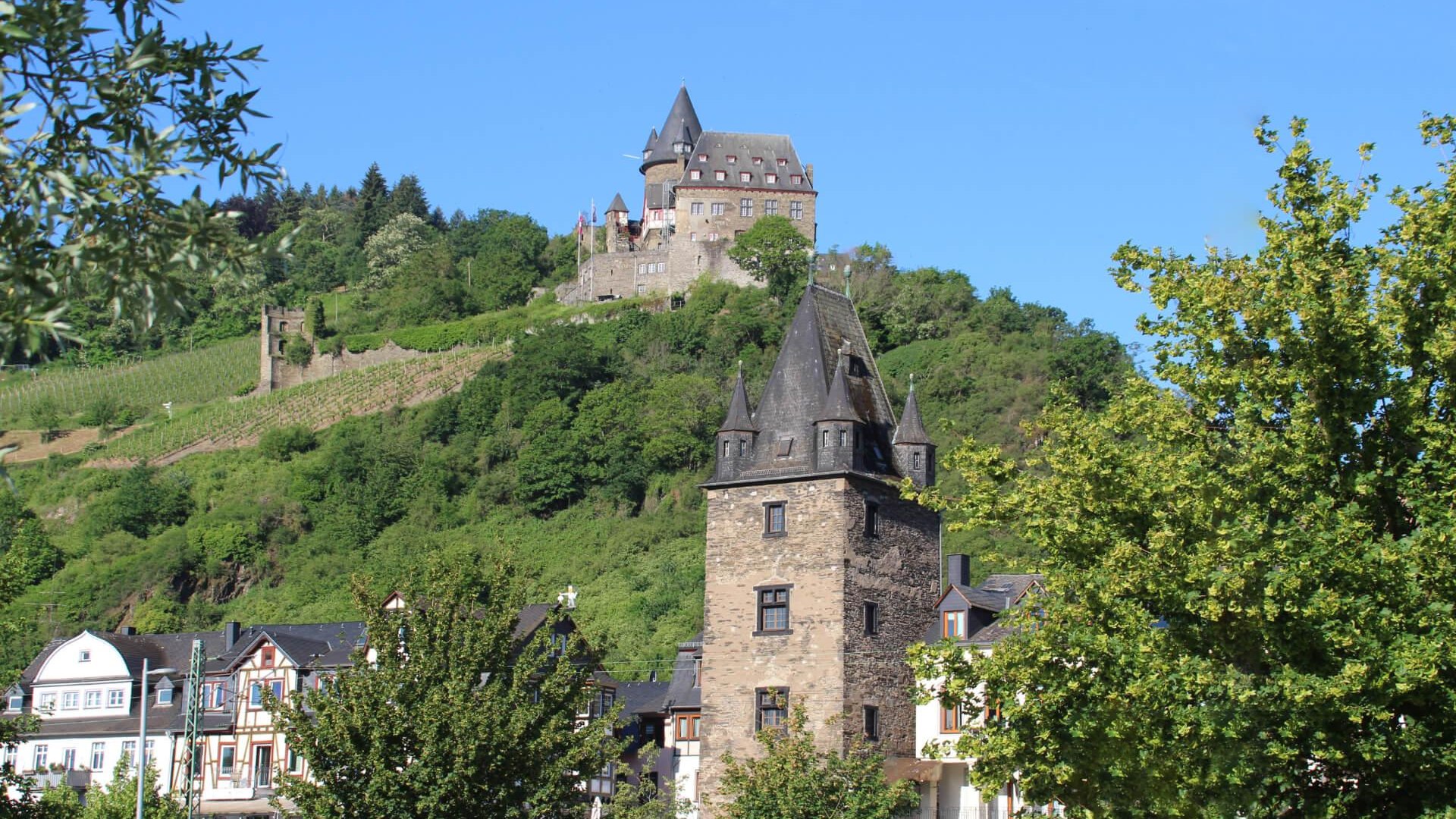 Markturm Ansicht vom Rhein | &copy; RNT