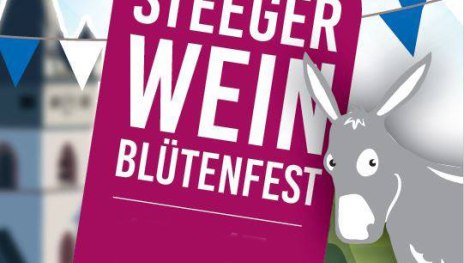 WBF_1 | &copy; WBF Veranstalter