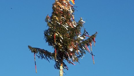 Kerbebaum | &copy; Kerbejugend Henschhausen
