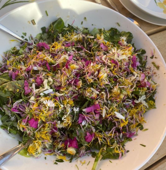 Wurzel | © Angelika Hölz Wurzel | © Angelika Hölz