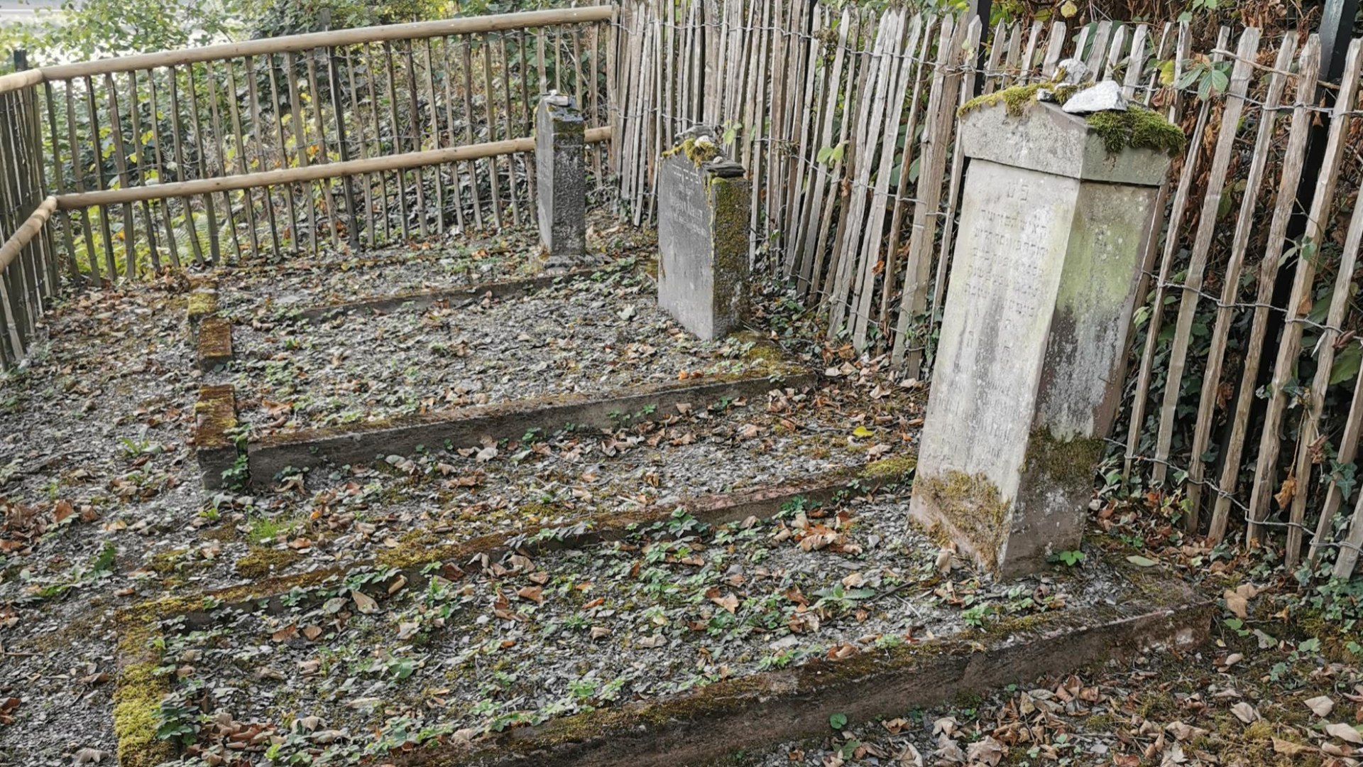 Judenfriedhof | © Sabine Pilger Judenfriedhof | © Sabine Pilger
