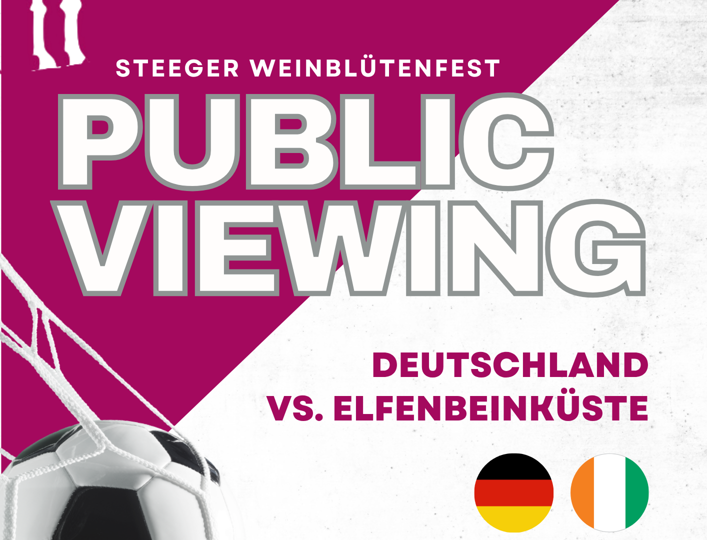 Plakat PV-WBF | &copy; OG Ba-Steeg