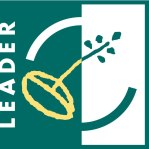 Leader Leader
