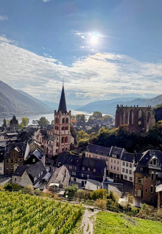 Bacharach panorama &ndash; vineyards & old town view | &copy; Moock