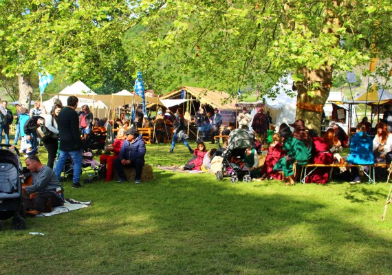 VTM Wiese | &copy; &copy;Sabine Pilger