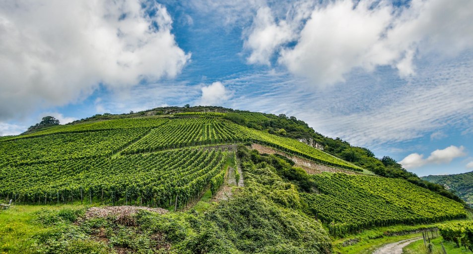 B. Hahn | © RNT, Simone Bohr