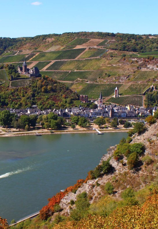 Blick vom Rheinstein | © ©Sabine Pilger Blick vom Rheinstein | © ©Sabine Pilger