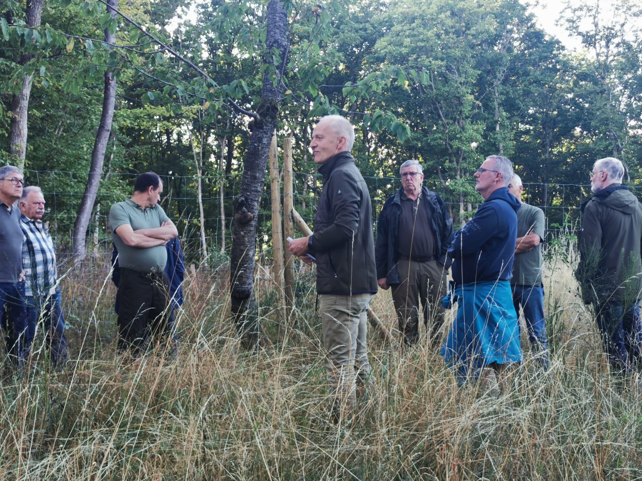 Waldbegehung 2025-1 | © Stadt Bacharach Waldbegehung 2025-1 | © Stadt Bacharach
